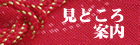 ���ǂ���ē�